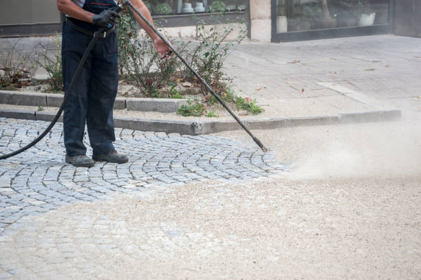 Best Driveway Pressure Washing  in Benton Heights, MI